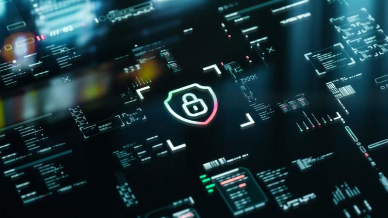 双柏县软件开发公司